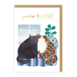 Anniversary Cats Greeting Card | Ohh Deer