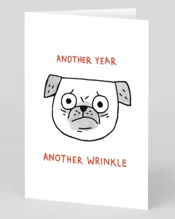 Another Year Another Wrinkle Brithday Card | Ohh Deer