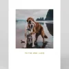 Beach Dogs Hug Greeting Card | Ohh Deer