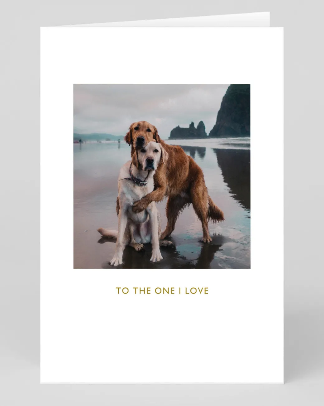 Beach Dogs Hug Greeting Card | Ohh Deer
