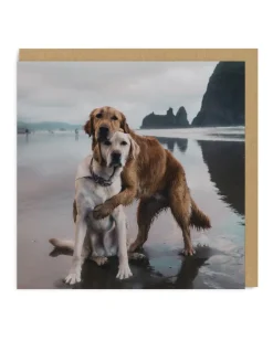Beach Dogs Hug Greeting Card