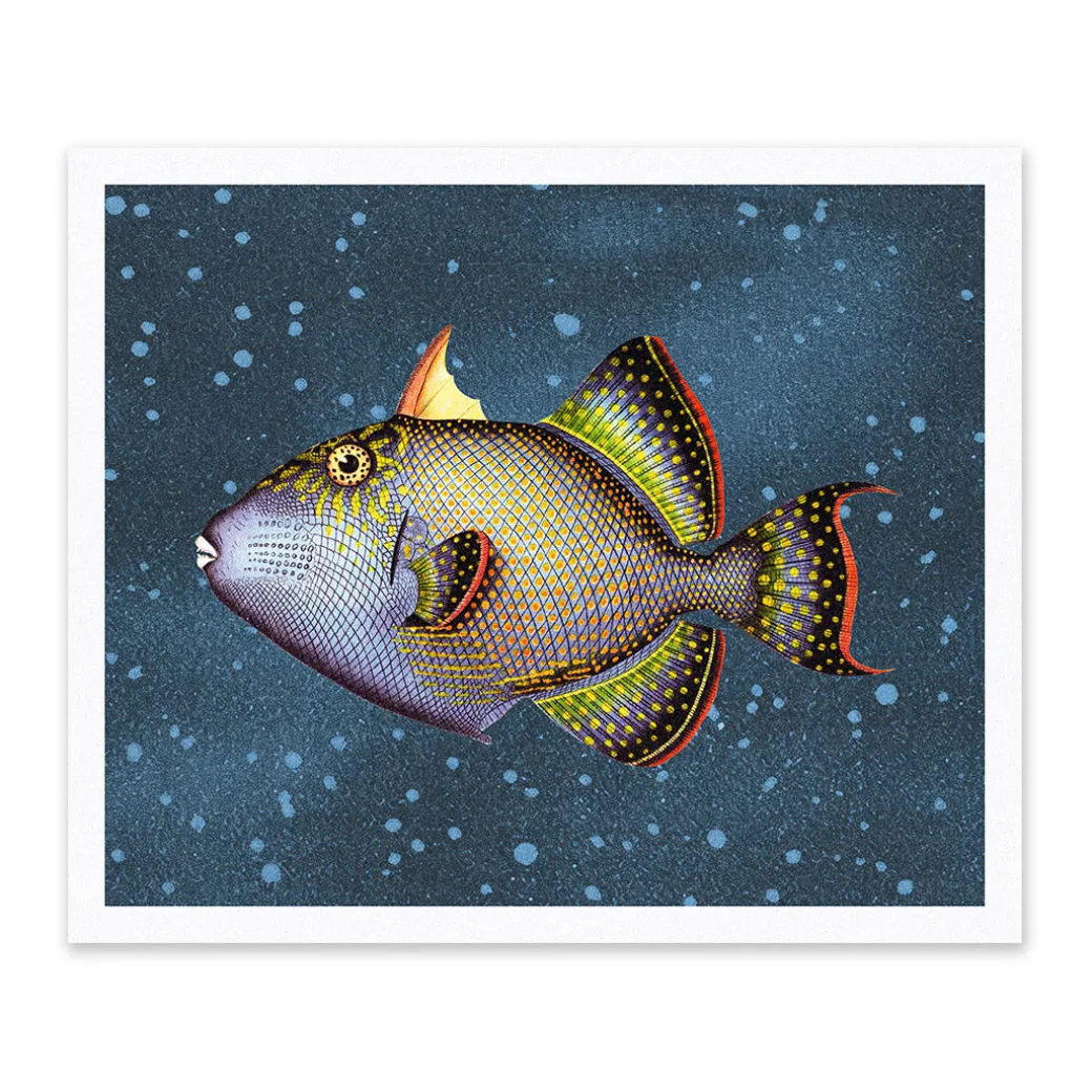Blue Triggerfish Riso Print (12x10)