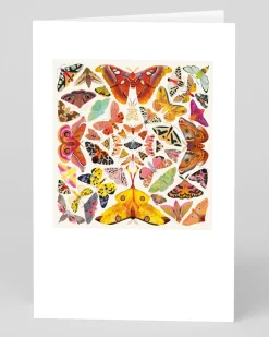Butterfly Kaleidoscope Greeting Card | Ohh Deer