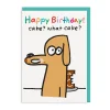 Cake? What Cake? Birthday Card