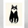 Cat Stare Greeting Card | Ohh Deer