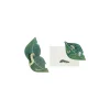 Caterpillar 3D Pop Up Greeting Card | Ohh Deer
