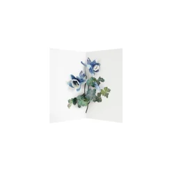 Columbine 3D Pop Up Greeting Card | Ohh Deer