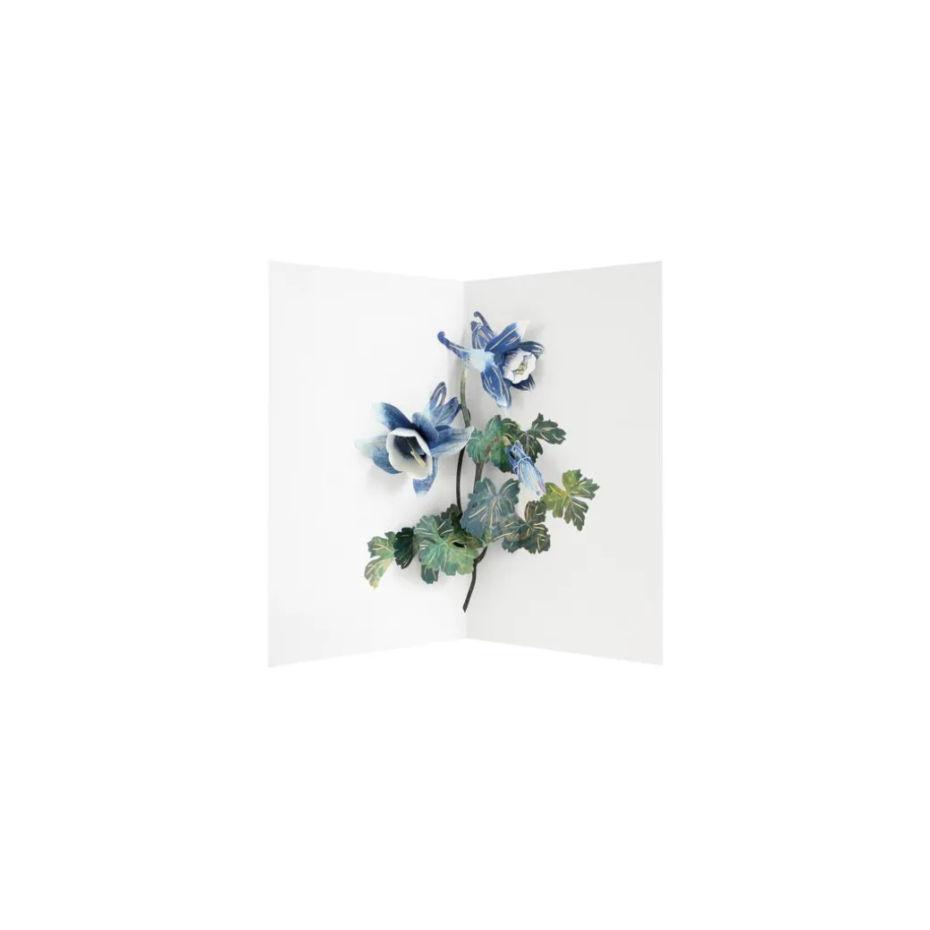 Columbine 3D Pop Up Greeting Card | Ohh Deer