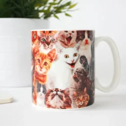 Crazy Cat Lady Mug - Cat Lover Gift | Ohh Deer