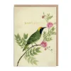 Diane Hill - Songbird Birthday Card 🕊️ | Ohh Deer