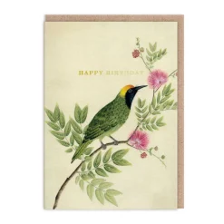Diane Hill - Songbird Birthday Card 🕊️ | Ohh Deer