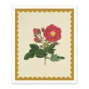 Drift Rose Riso Print (12x10)