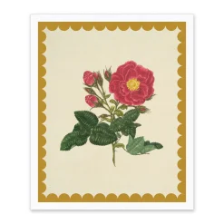 Drift Rose Riso Print (12x10)