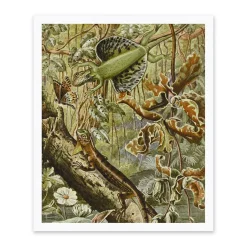 Flying Dragons Riso Print (12x10)