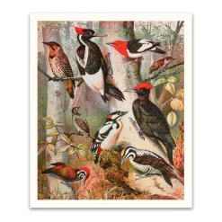 Forest Birds Riso Print (12x10)