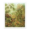 Fungi Forest Riso Print (12x10)