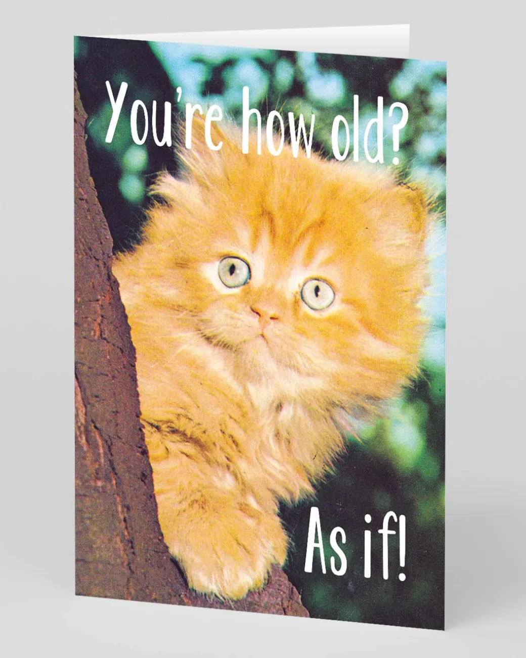 How Old? As If Personalised Birthday Card | Ohh Deer
