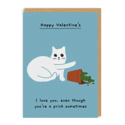 I Love You Even Though You're A Prick Sometimes Valentine's Card | Ohh Deer