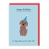 In Dog Years Birthday Card | Ohh Deer