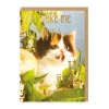 Jizzing Rainbows Greeting Card | Ohh Deer