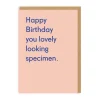 Lovely Looking Specimen Birthday Card - Twin Pines | Ohh Deer