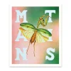 Mantis Riso Print (12x10)