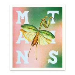 Mantis Riso Print (12x10)