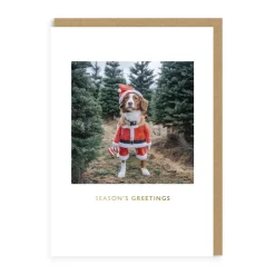 Maple Santa Christmas Card