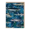 Marble Sharks Birthday Card
