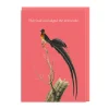 Misjudged Dress Code Greeting Card