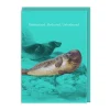Moisturised Greeting Card