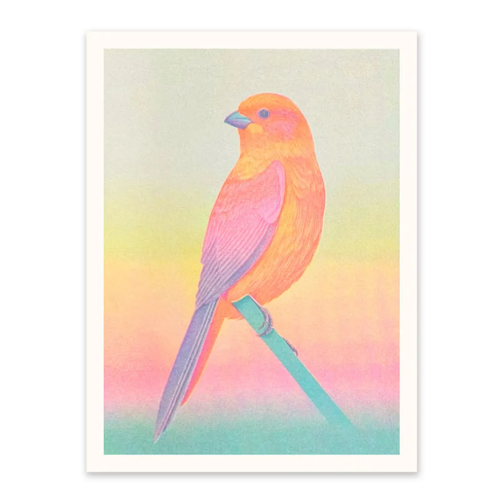 Neon Ombre Bird Riso Print (8x6)