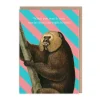 Night Before Greeting Card