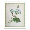 Nymphaea-Caerulea Riso Print (12x10)