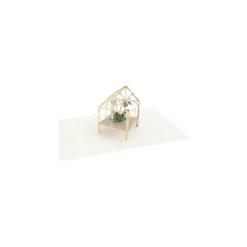Orchid 3D Pop Up Greeting Card | Ohh Deer