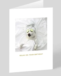 Pampered Pooch Birthday Card | Ohh Deer