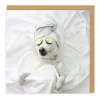 Pampered Pooch Greeting Card