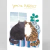 Personalised Anniversary Cats Card | Ohh Deer