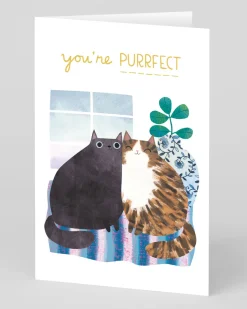 Personalised Anniversary Cats Card | Ohh Deer