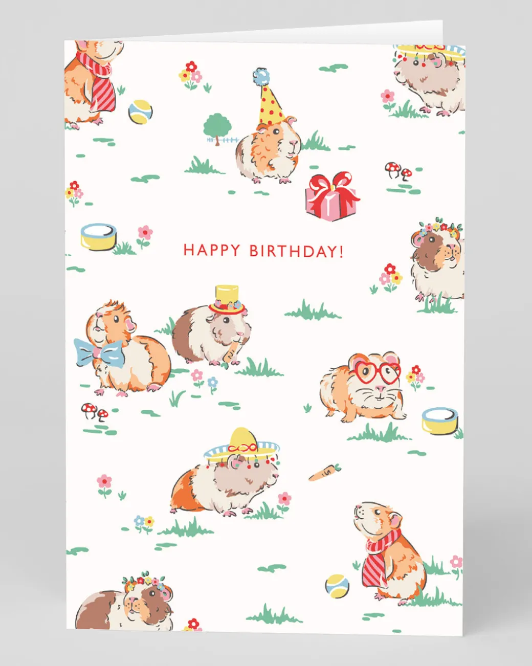 Personalised Guinea Pig Happy Birthday Card | Ohh Deer