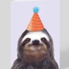 Personalised Party Hat Sloth Greeting Card | Ohh Deer