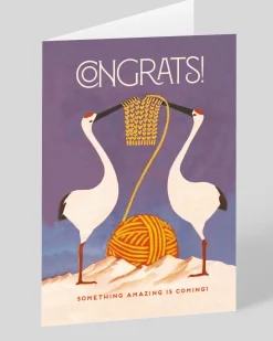 Personalised Storks Congrats New Baby Card | Ohh Deer