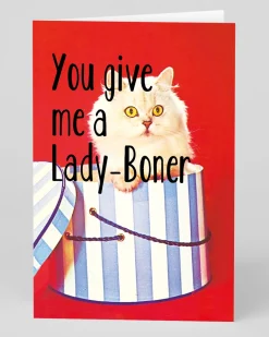 Personalised You Give Me a Lady Boner Greeting Card | Ohh Deer