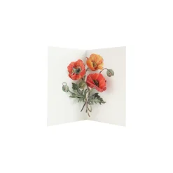 Poppies 3D Pop Up Greeting Card | Ohh Deer