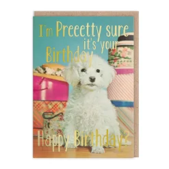 Pretty Sure Its Your Birthday Card - Smitten Kitten | Ohh Deer