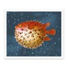 Puffer Fish Riso Print (12x10)