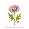 Purple Poppy 1 Riso Print (8x6)