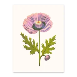 Purple Poppy 1 Riso Print (8x6)