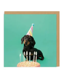 Scout Party Hat Square Birthday Greeting Card