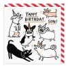 Son Yappy Birthday Card